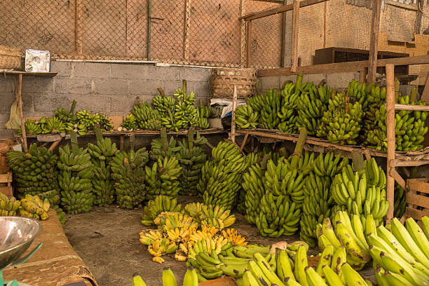 Piles of bananas in a fruit market