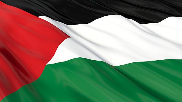istock Flag of Palestine. 530323437
