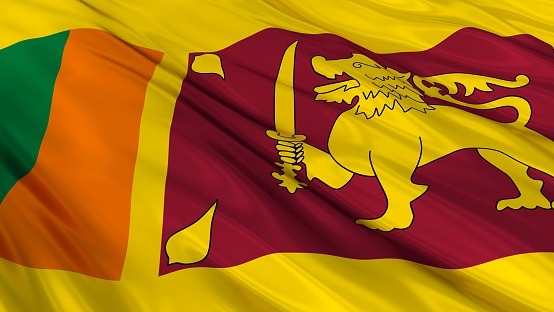 Flag of Sri Lanka (the Lion flag).