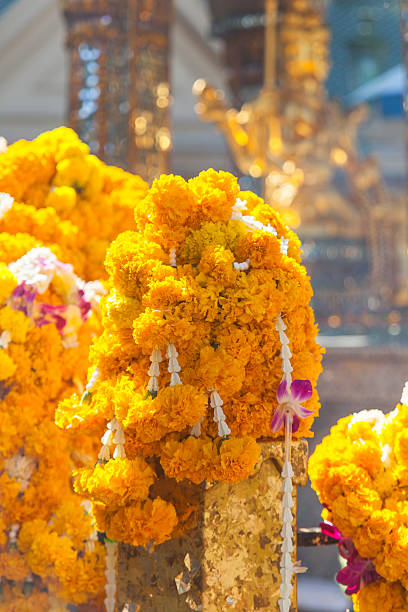 istock Marigolds garlands on temple fence 530324141