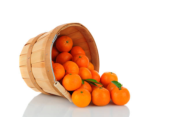 istock Basket of Clementines 530324473