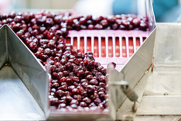 Cherry Packing Process 1,900+ Cherry Processing Stock Photos, Pictures & Royalty-Free Images ...