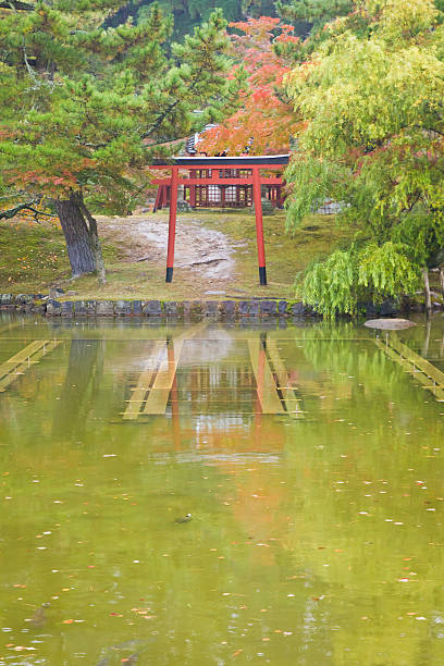 istock Shinto in Nara park 530327039