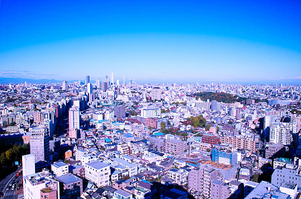 istock View of Tokyo 530334093