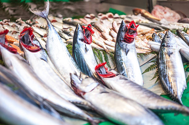 istock Fresh mackerel at the market 530334429