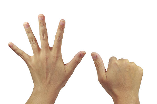 istock behind of palm with six finger show 530335775
