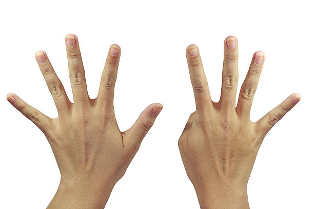 istock behind of palm with nine finger show 530335789
