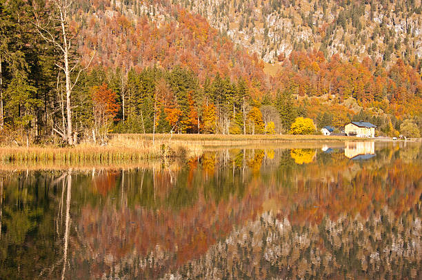istock colorful autumnal forest mirroring in a mountain lake 530338105