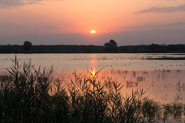 istock Sunrise over the lake 530338219