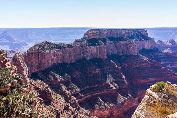 Photo of Grand Canyon from the Walhalla Overlook (North Rim, Arizona)