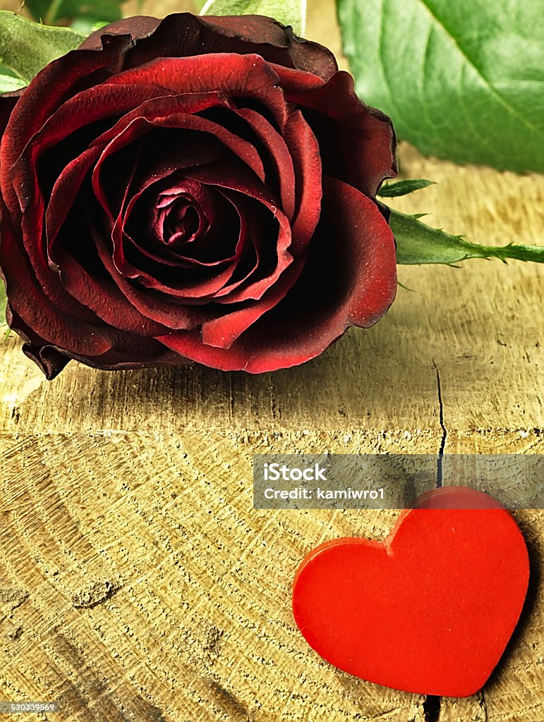 Red rose and red heart on a wooden table. Beautiful flower red rose and small red heart on a wooden, oak table. Anniversary Stock Photo
