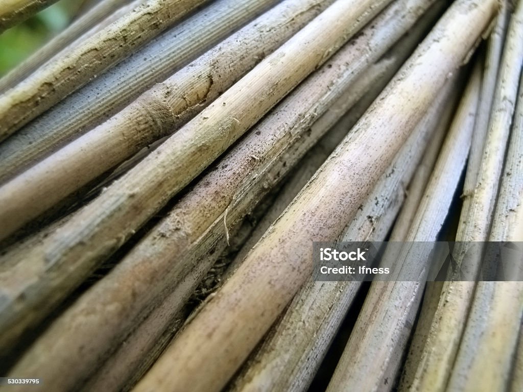 Bamboo reeds texture diagonal background close up Ancient Stock Photo