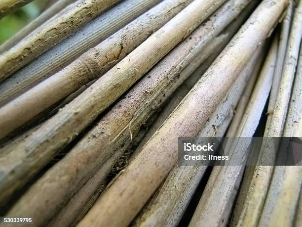 Bamboo Reeds Texture Diagonal Background Close Up Stock Photo - Download Image Now - Ancient, Backgrounds, Bamboo - Material