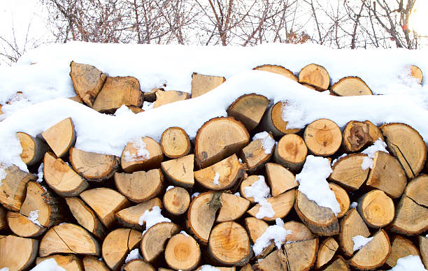 istock Pile of wood. 530340295