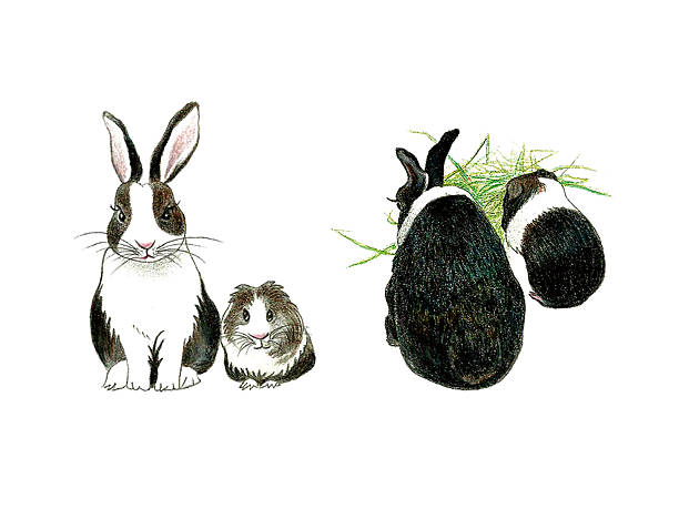 close 友情 - bunny painting点のイラスト素材�／クリップアート素材／マンガ素材／アイコン素材