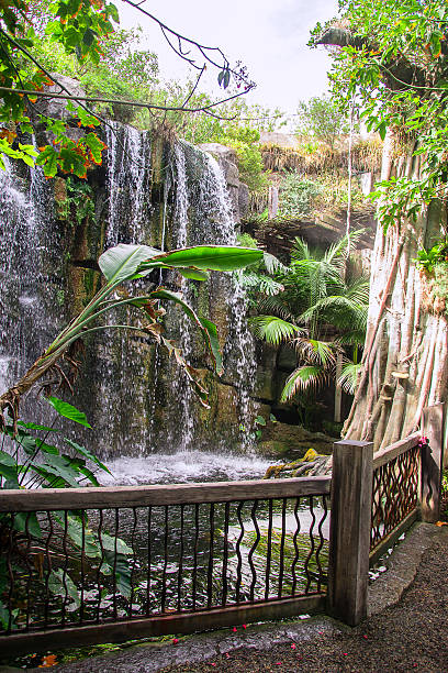 istock Beautiful view of waterfall in jungle. 530350229