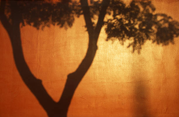 sombras na parede vermelha cidade proibida, pequim - chinese wall imagens e fotografias de stock