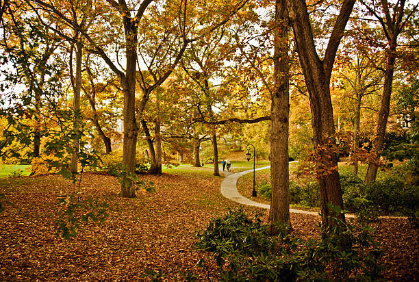istock Foliage in Wellesley College 530353535