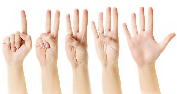 istock Counting from one to five with fingers 530361189