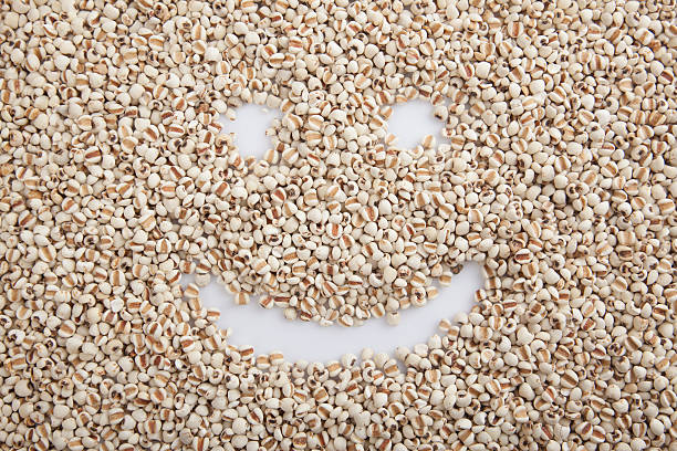 istock Job's tears  with smily face shape 530361251