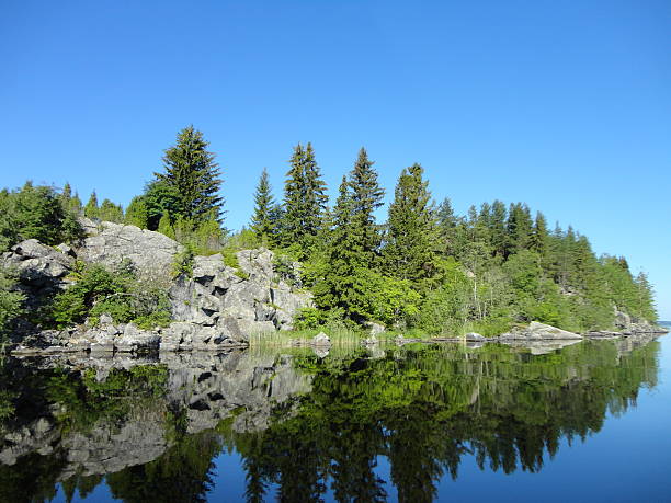 istock Summer lake near the forest. 530361257
