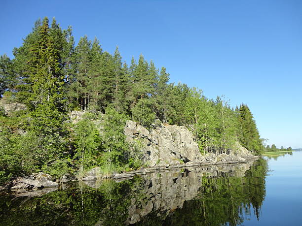 istock Summer lake near the forest. 530361259