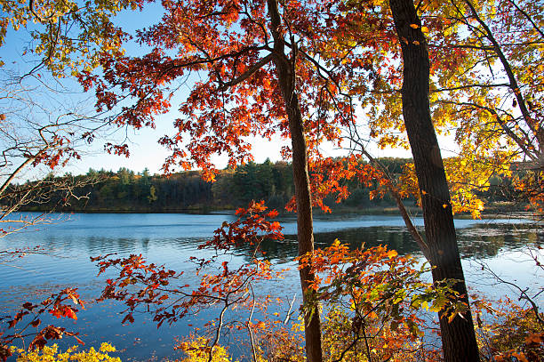 Colorful afternoon in Wellesley College campus