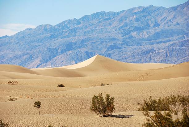 istock Death Valley National Park sand dunes 530363013