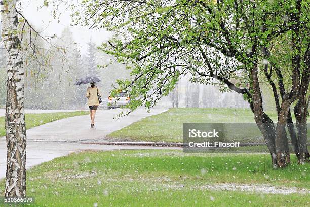 Snowfall Hit The City Stock Photo - Download Image Now - Autumn, Blizzard, Environment