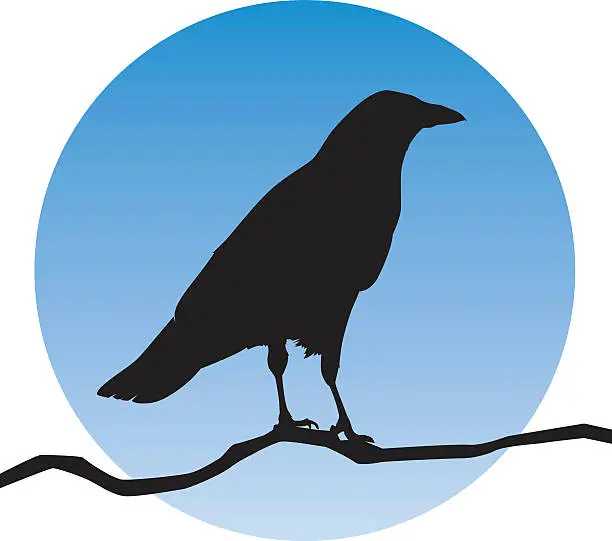 Vector illustration of Raven Silhouette