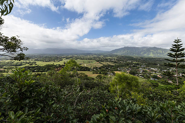 istock Wailua Valley View Kauai 530383355