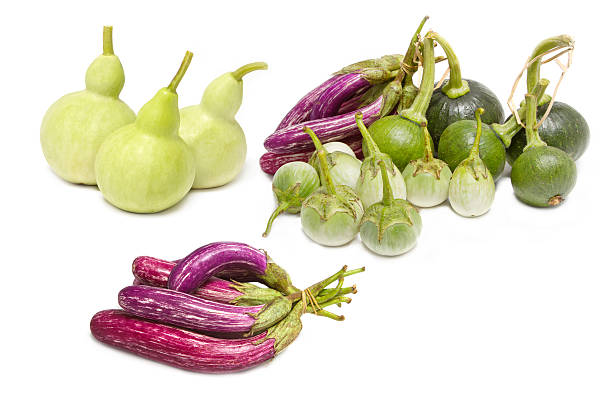 istock Mix vegetable: Bottle Gourd,Cockroach Berry, Eggplant and Young 530389943