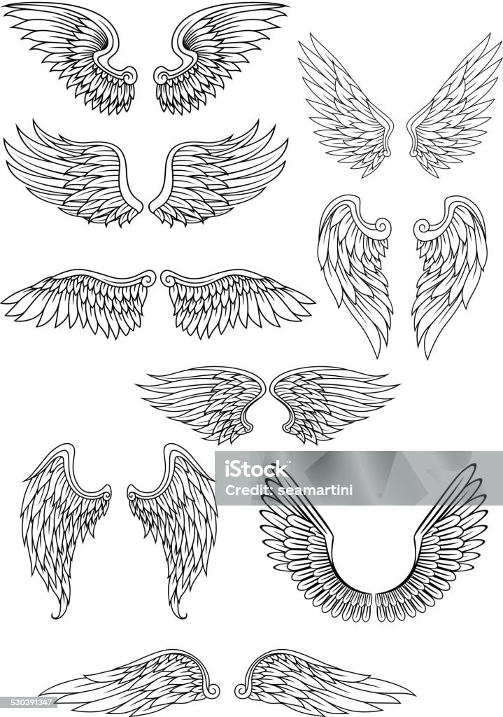 Heraldic bird or angel wings set Heraldic bird or angel wings set isolated on white for religious, tattoo or heraldry design Angel stock vector