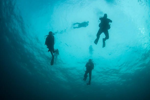 istock Scuba Divers in Midwater 530393623