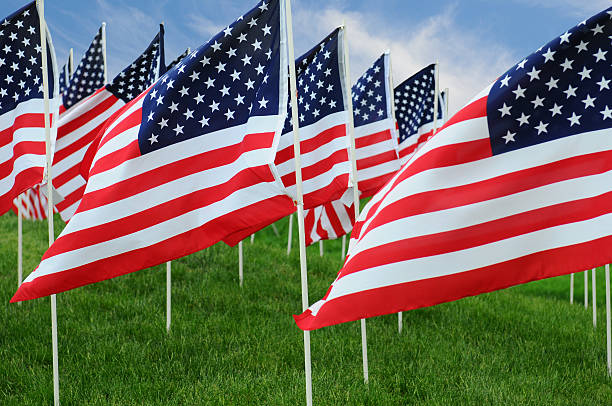 istock American Flags in Field 530395215