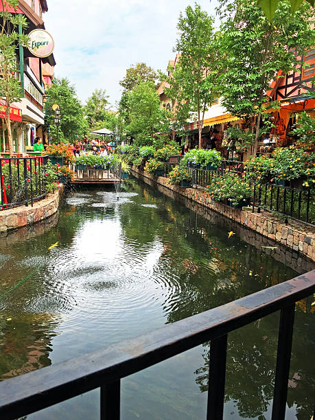 istock Mimosa Pattaya thailand 530400583