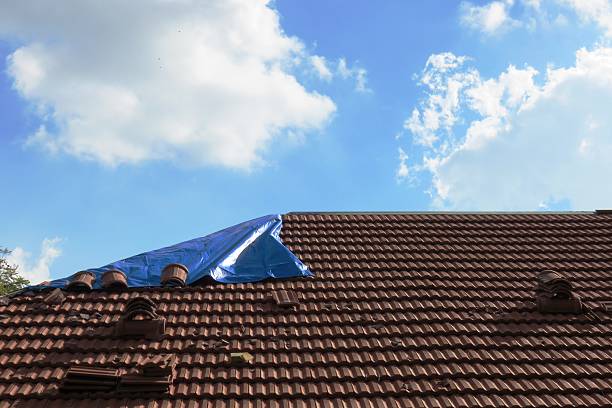 istock Tiler covering roof with new tile 530400993