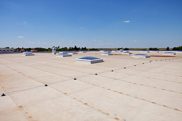 istock flat roof on industrial hall 530401045