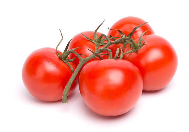 istock branch of tomatoes 530402859
