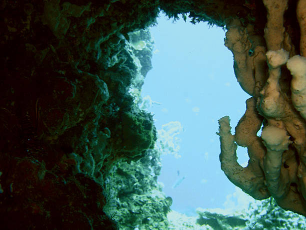 istock Underwater Cave Entrance 530406329