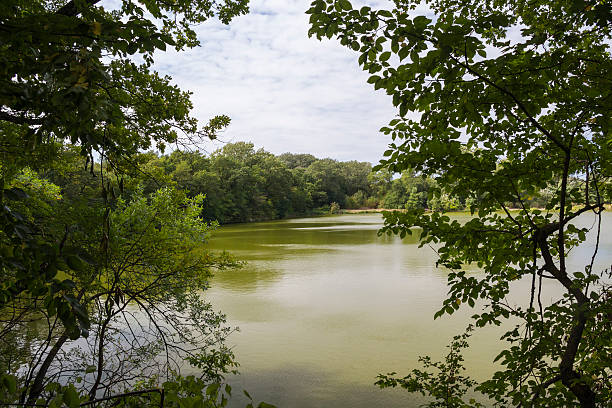 istock Lake with green water 530411489