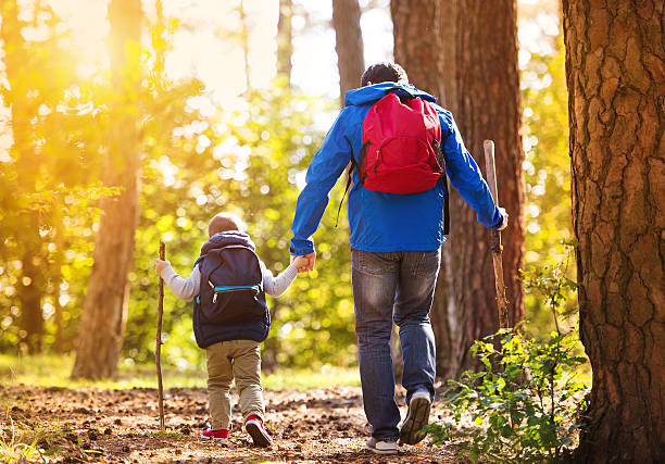 istock Father and son walking in autumn forest 530412999