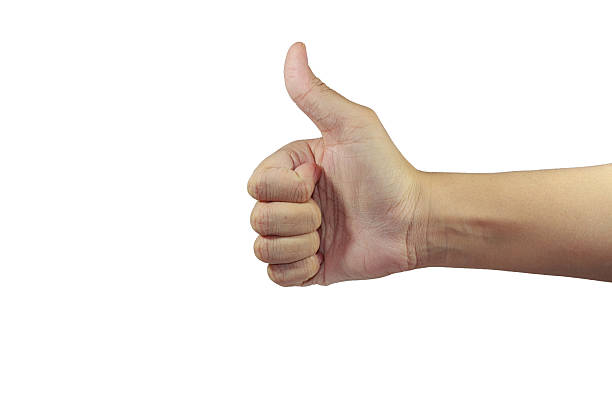istock in front of palm with like sign show 530413087