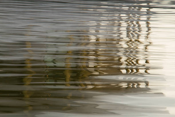istock Abstract background of blurry column reflection in the water 530414263