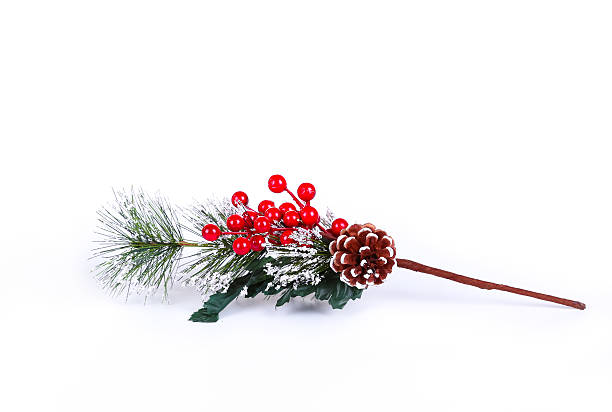 istock Christmas decoration. Holly with berries on the white background 530414351