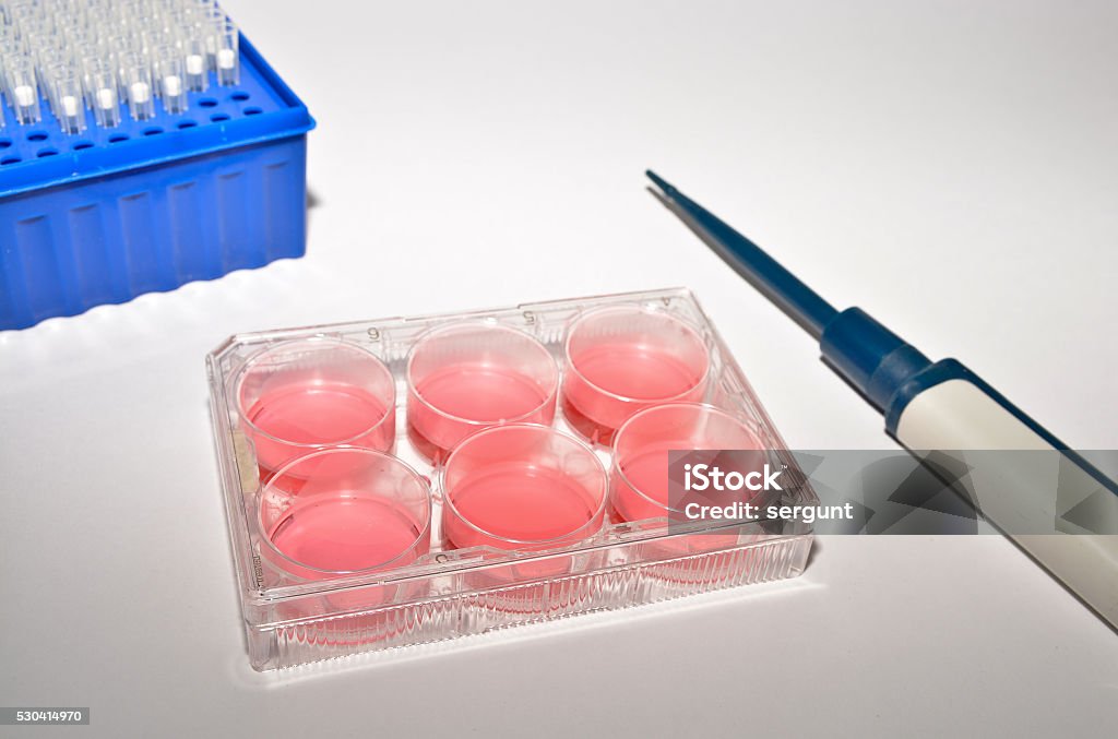 Cell technologies in biological research. Well plate with culture medium. Cell technologies in biological research. Analyzing Stock Photo