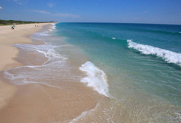 istock beautiful beach on a sunny day 530415298