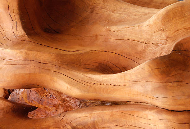 Distinctive texture of an old wood