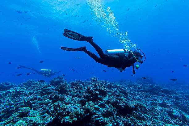 buceo de profundidad en tiputa pass, de rangiroa, polinesia francesa - buceo con equipo fotografías e imágenes de stock