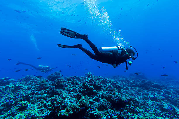 ダイビングに深く tiputa パス、ランギロア、仏領ポリネシア - scuba diving ストックフォトと画像